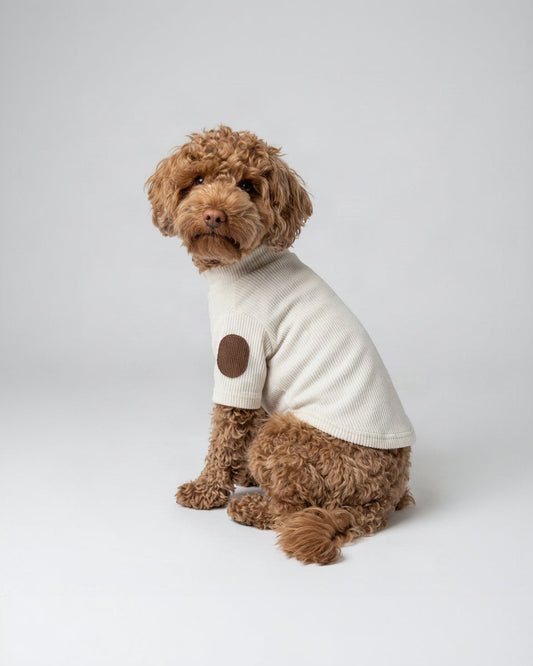 Hondenshirt Noa