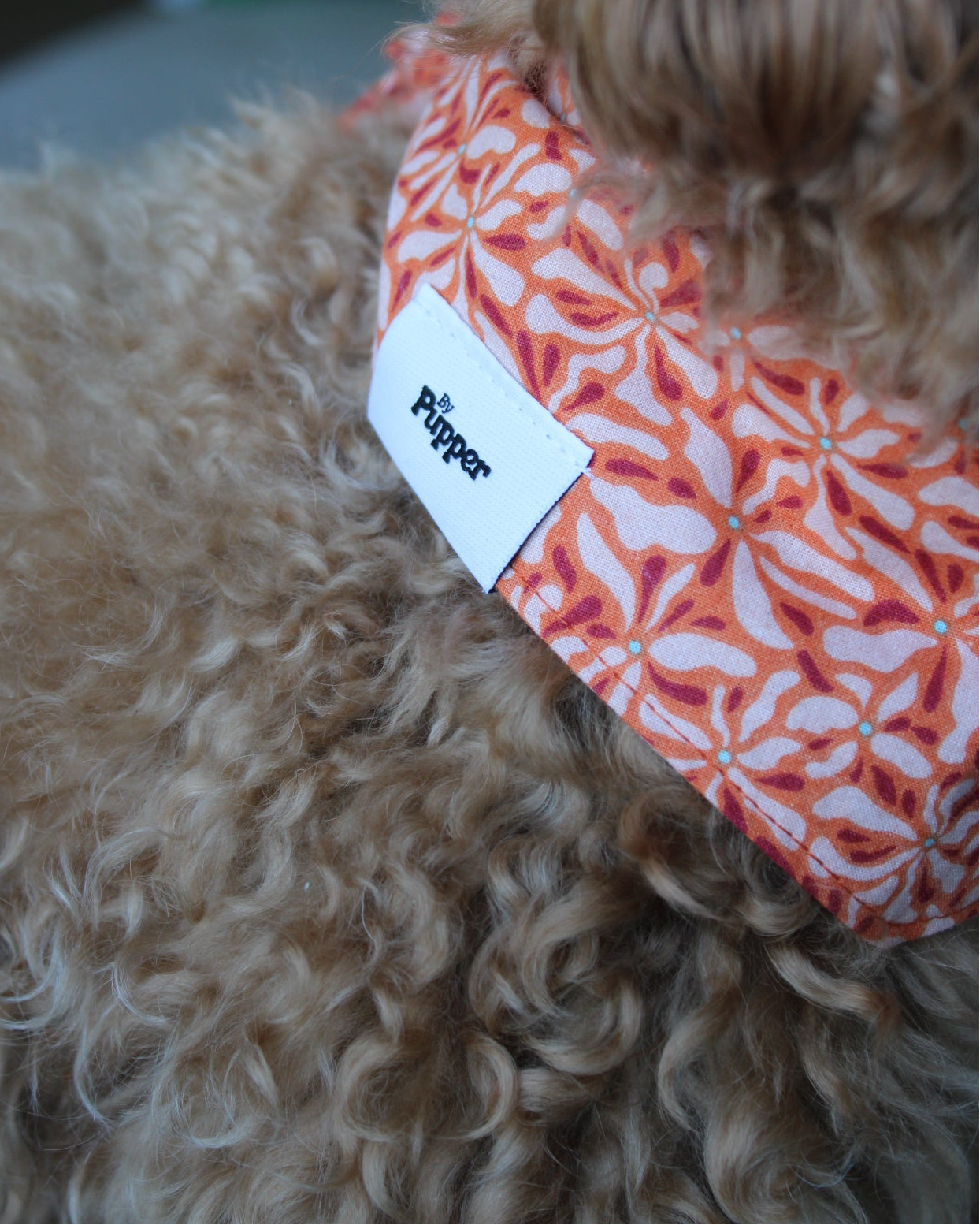 Koningsdag collectie