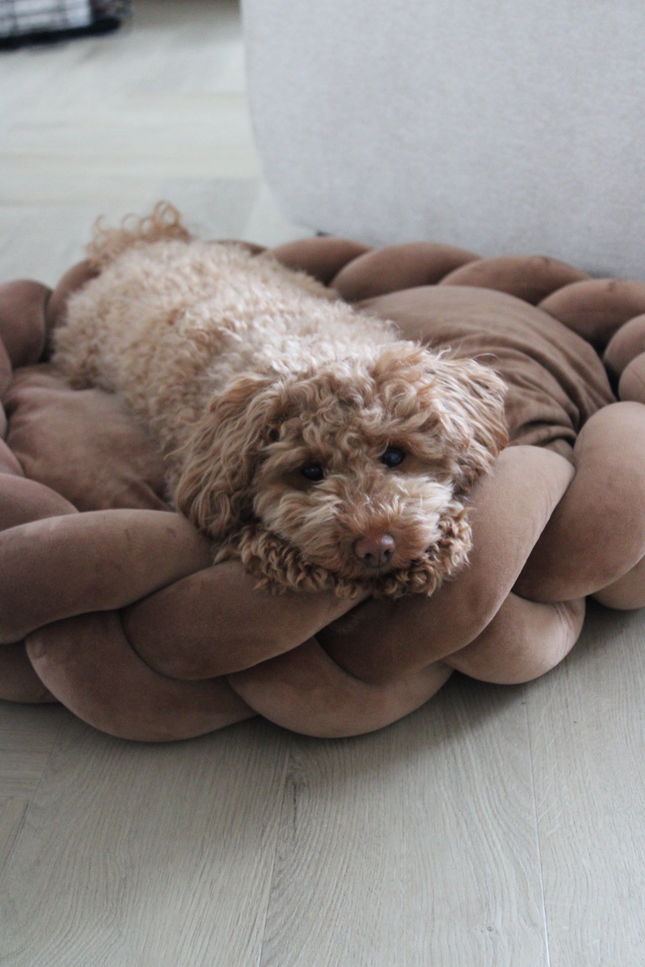 Dog Bed Marly