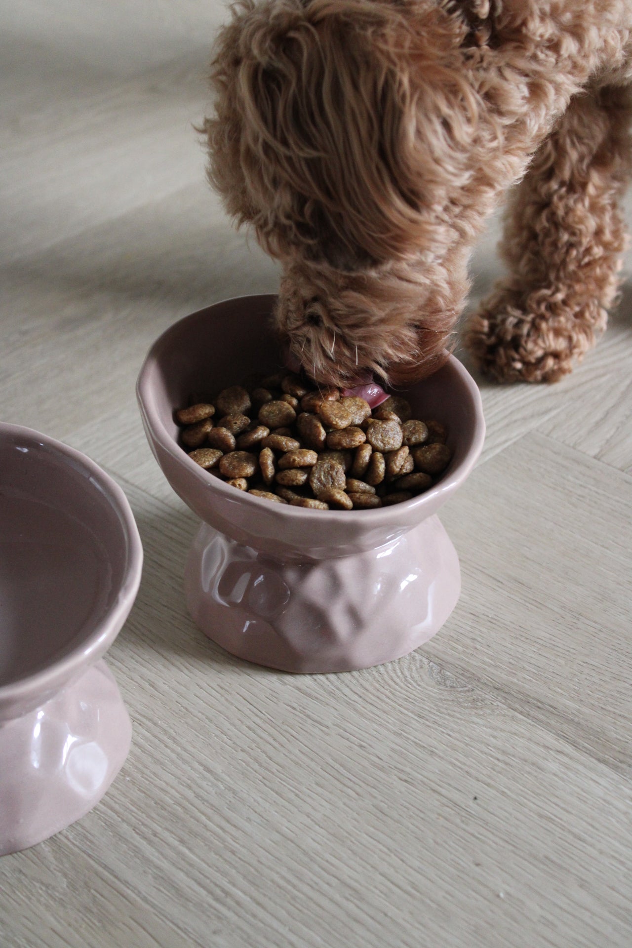 Beige hondenvoerbak voor puppy
