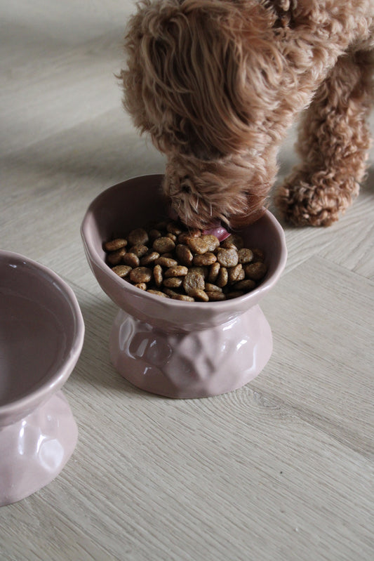 Beige hondenvoerbak voor puppy