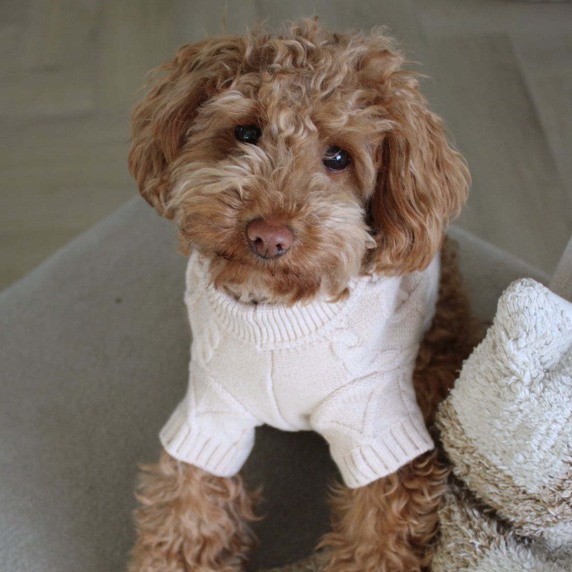 Hondentrui Liv | 2 kleuren