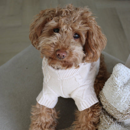 Hondentrui Liv | 2 kleuren