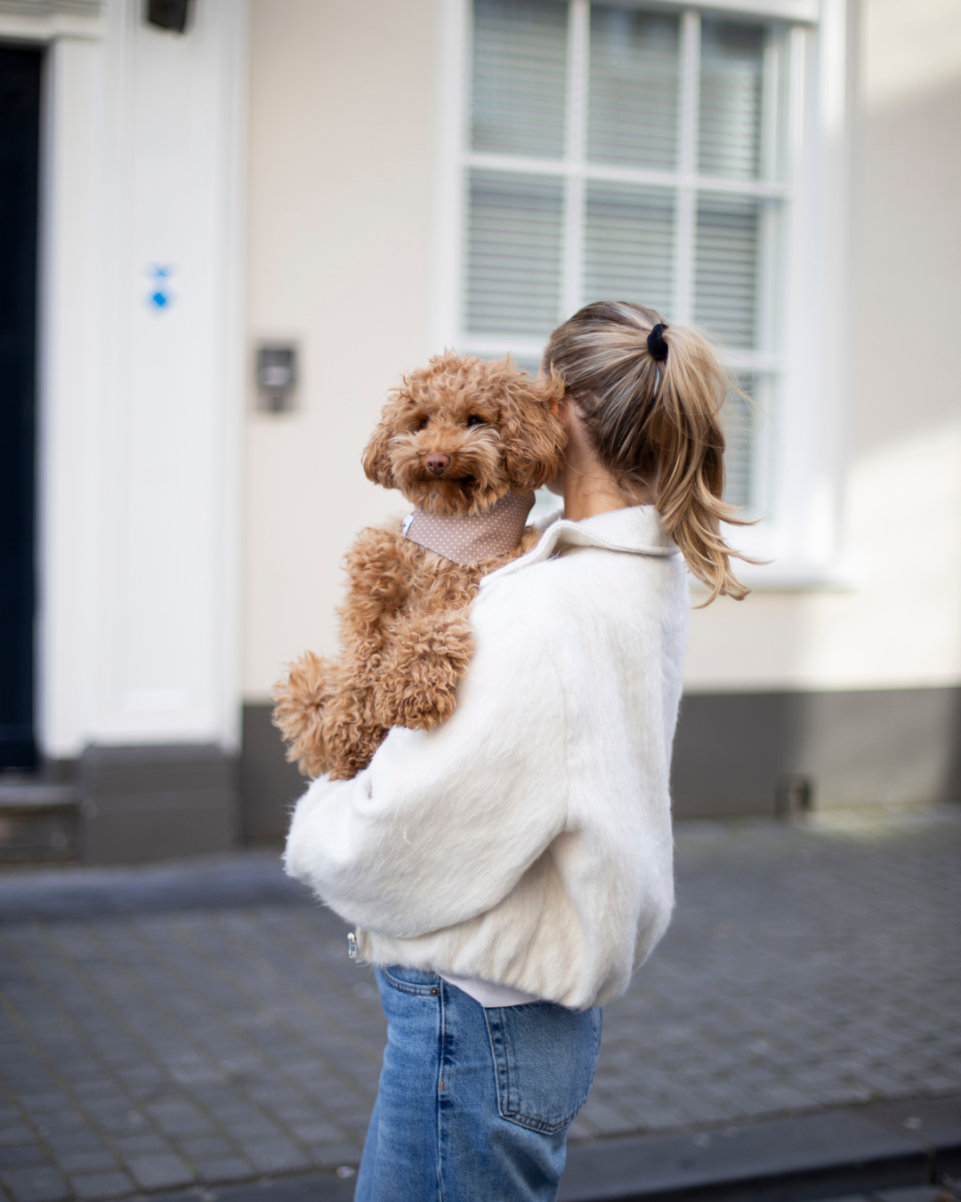 puppy essentials 