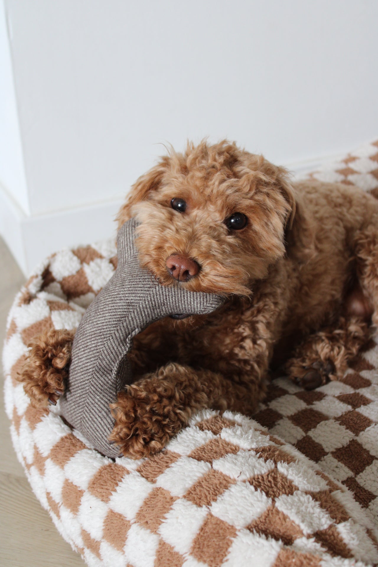 Hondenspeelgoed voor puppy