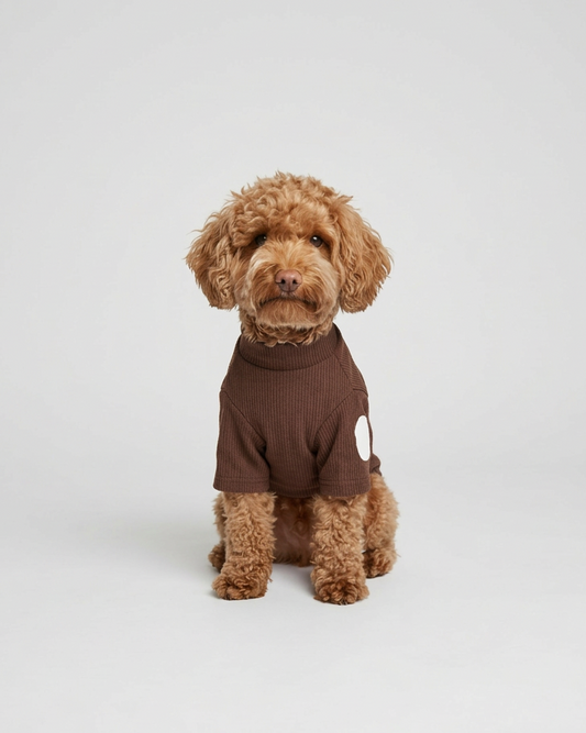 Hondenshirt Noa
