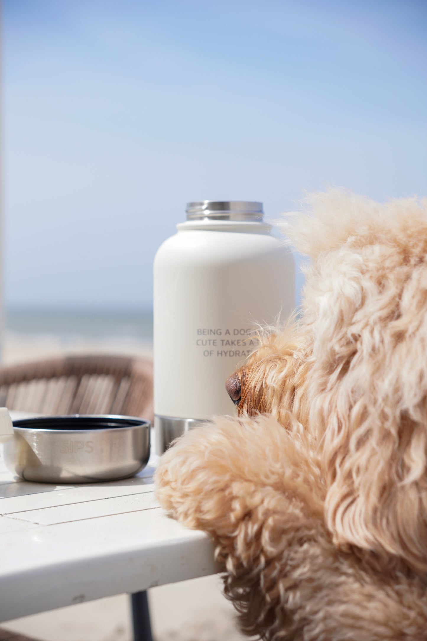 3-in-1 Water Bottle Bobbie | 2 colors