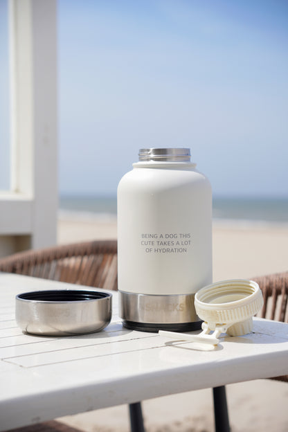 3-in-1 Water Bottle Bobbie | 2 colors