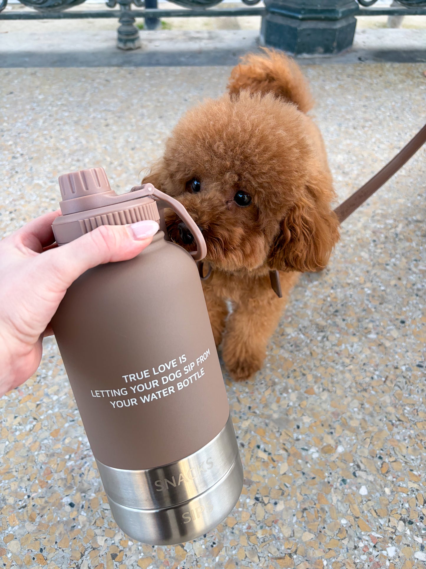 3-in-1 Drinkbeker Bobbie | 2 kleuren