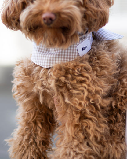 Hondenbandana Bibi