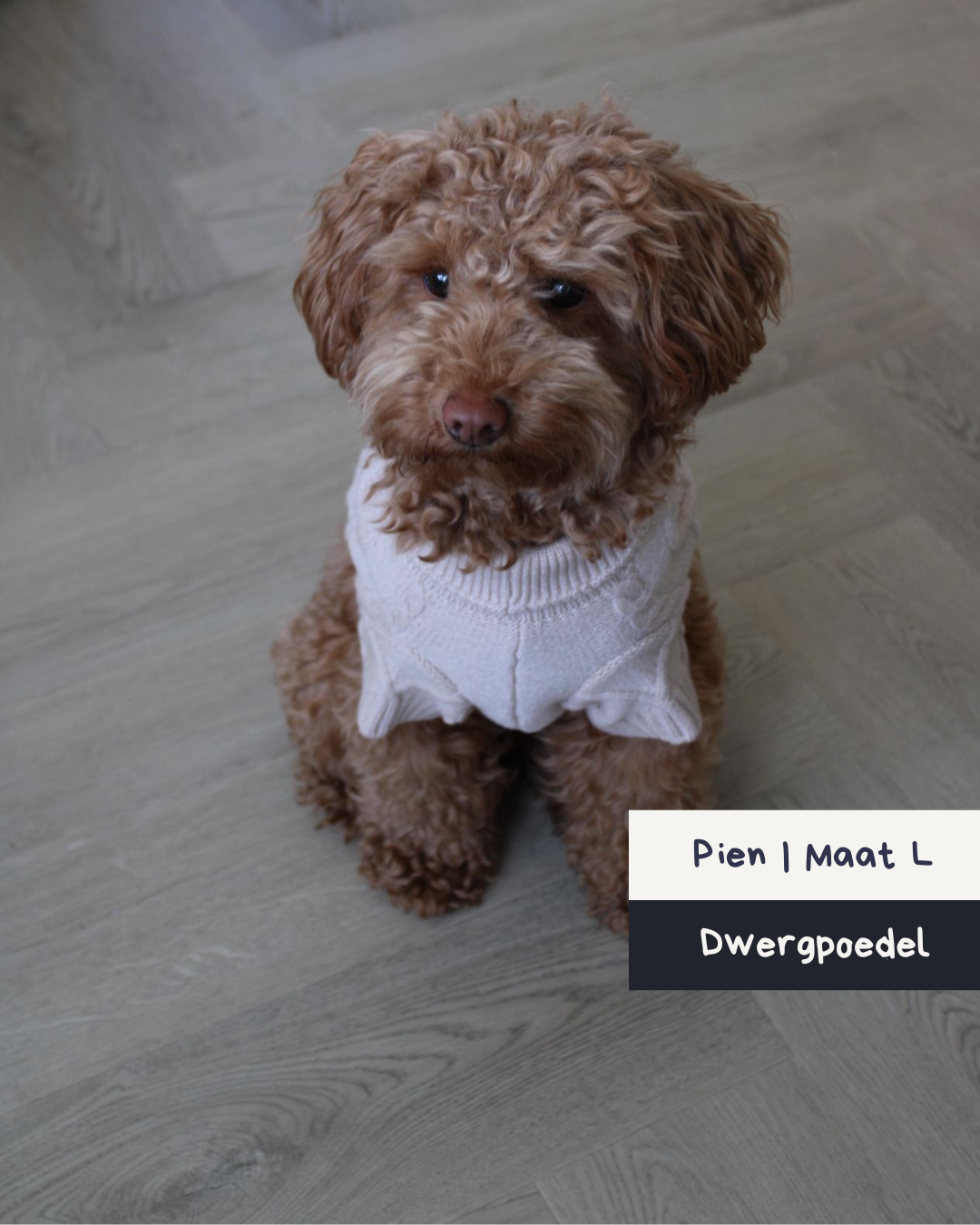 Hondentrui Liv | 2 kleuren