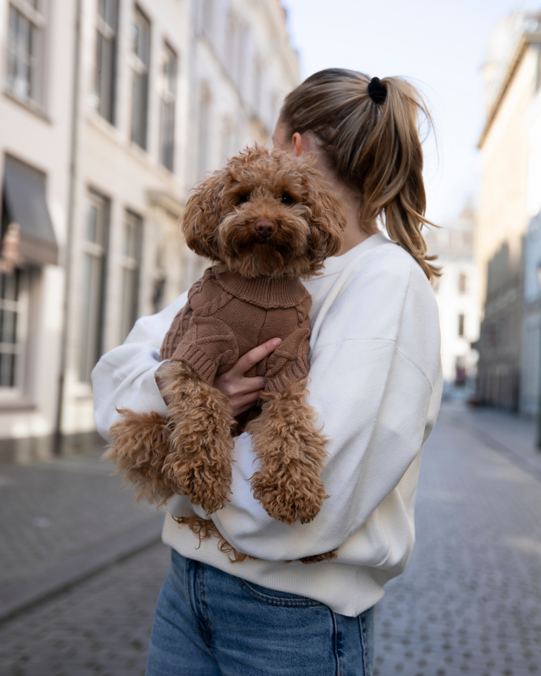 Dog Sweater Liv | 2 colors