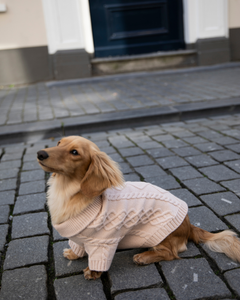 Hondentrui Liv | 2 kleuren