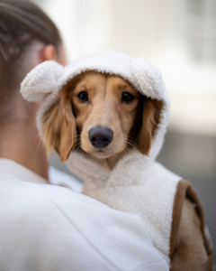 puppy met witte hondenbadjas