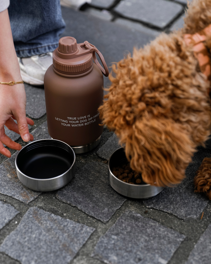 3-in-1 Water Bottle Bobbie | 2 colors