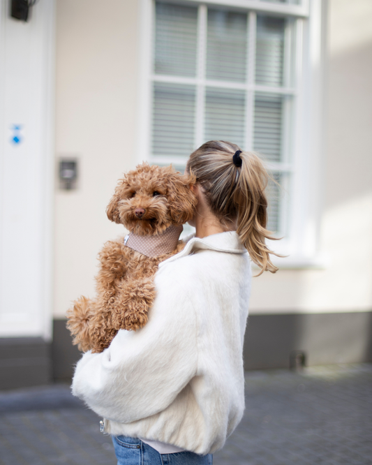 Hondenbandana Coco