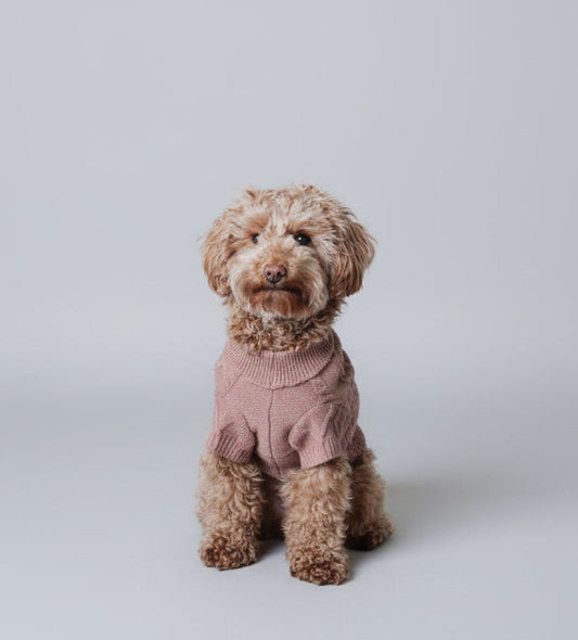 Dog Sweater Liv | 2 colors