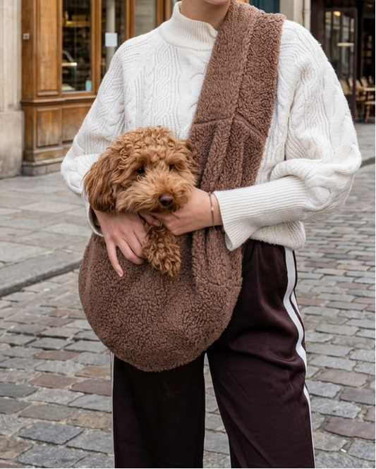 Draagzak Teddy | Bruin